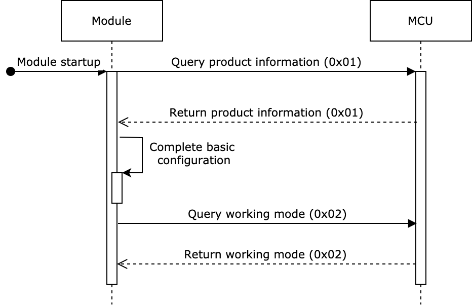 Module Initialization