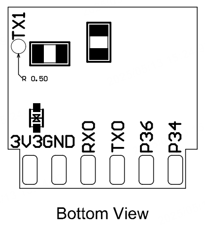 bottom view