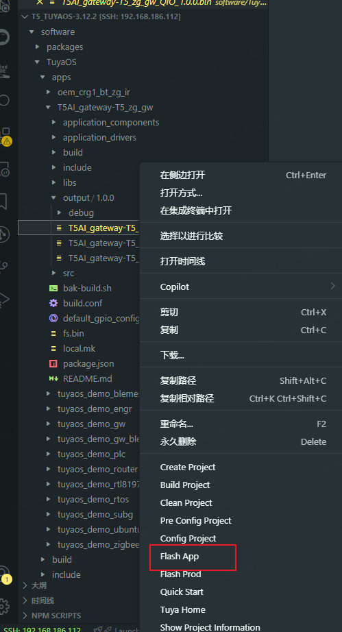 烧录