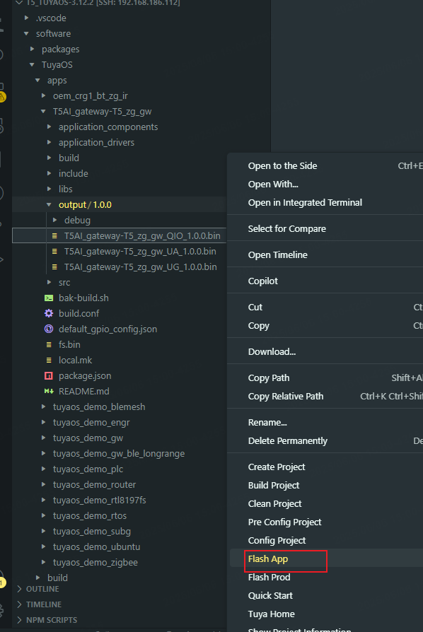 Flash firmware