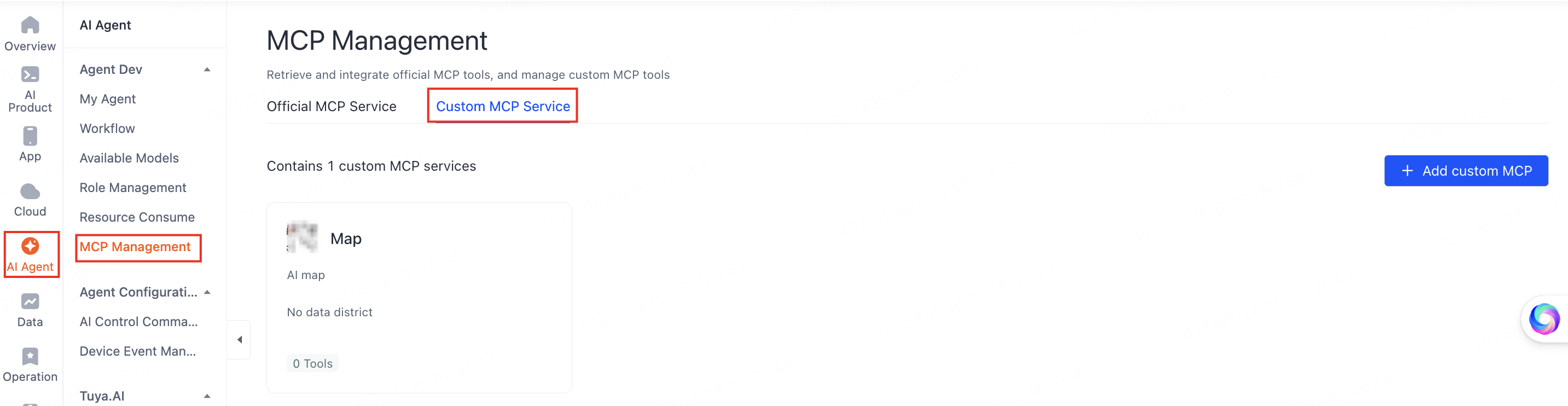 Custom MCP services