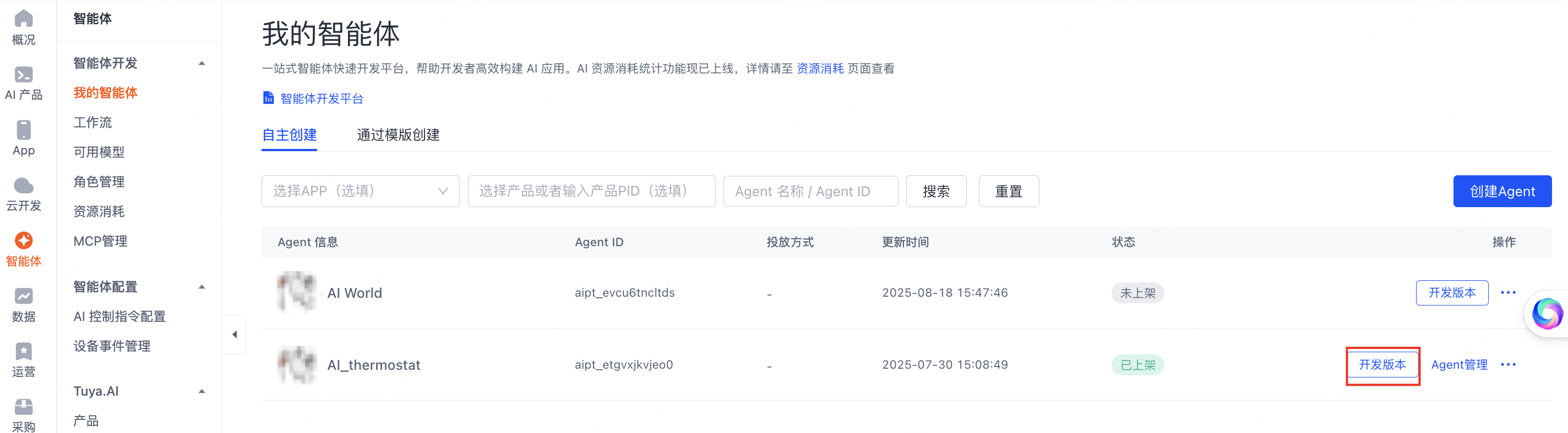 开发版本