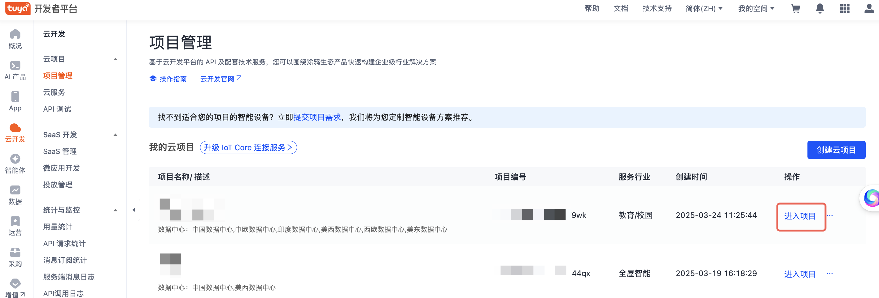 进入项目.png