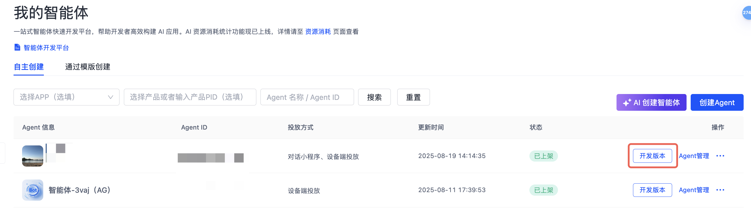 开发版本.png
