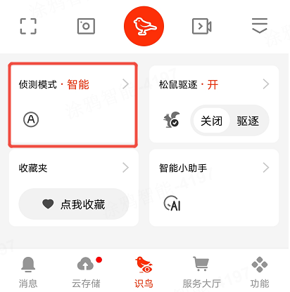 云端 AI 检测 & 视频消息
