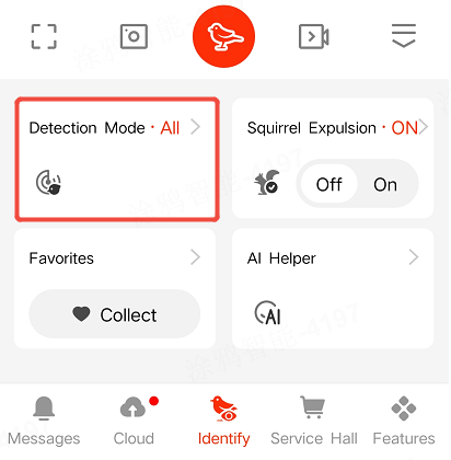 AI Detection & Video Message