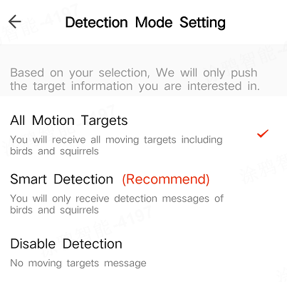 AI Detection & Video Message