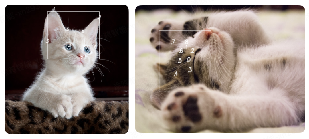 On-App AI Pet Image Quality Inspection: Three-Stage Pipeline On-Device Detection and Anomaly Filtering Mechanism