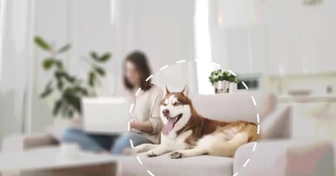 On-App AI视频剪辑：多模型驱动的IPC事件抓拍与自动Vlog生成