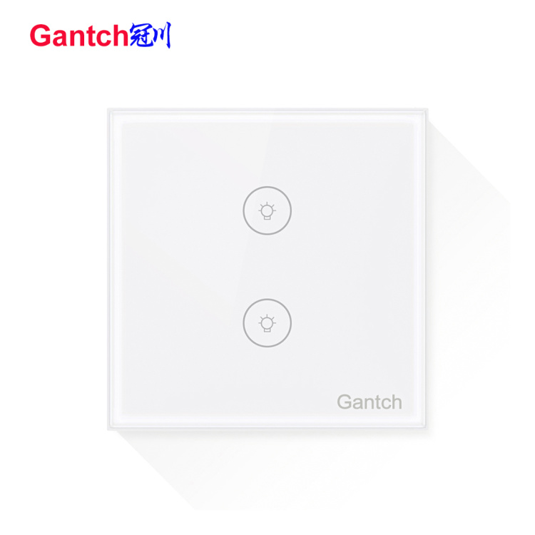 WiFi 2 gangs smart lighting touch switch