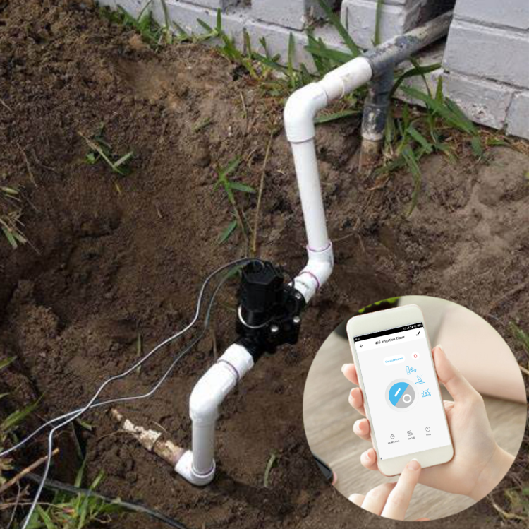 Wi-Fi Smart Irrigation Timer