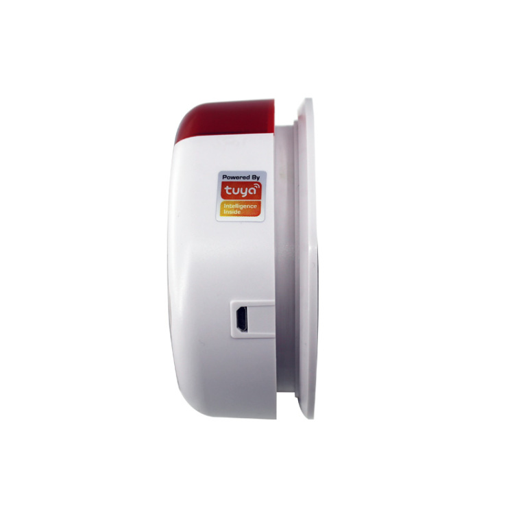 Multi-functional Smoke Detector/Alarm