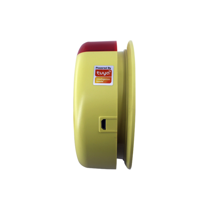 Combustible GAS Detector/Alarm