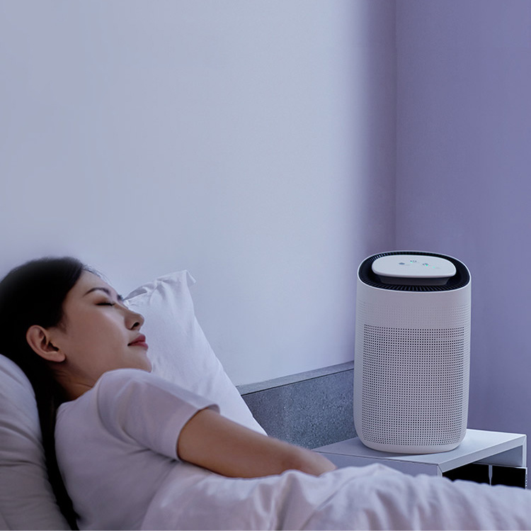 Home Smart Hepa Filter Air Purifier Dehumidifier