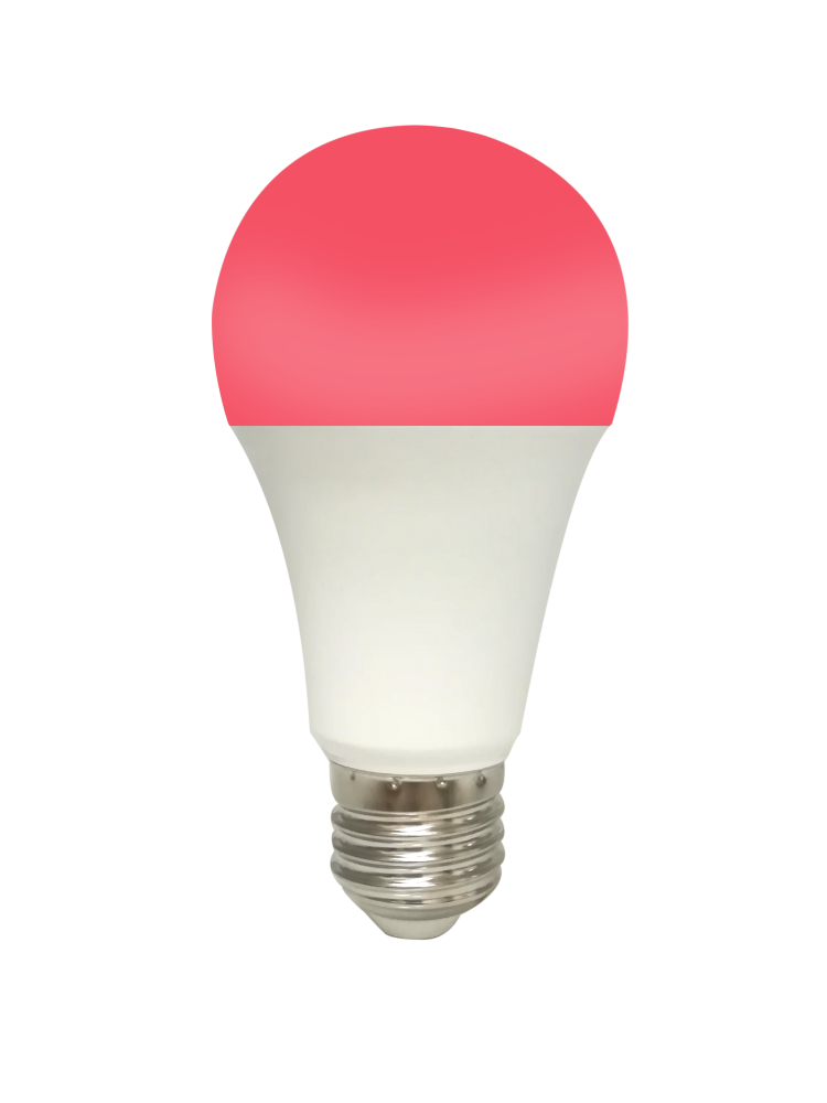 Zigbee RGBCW Bulb