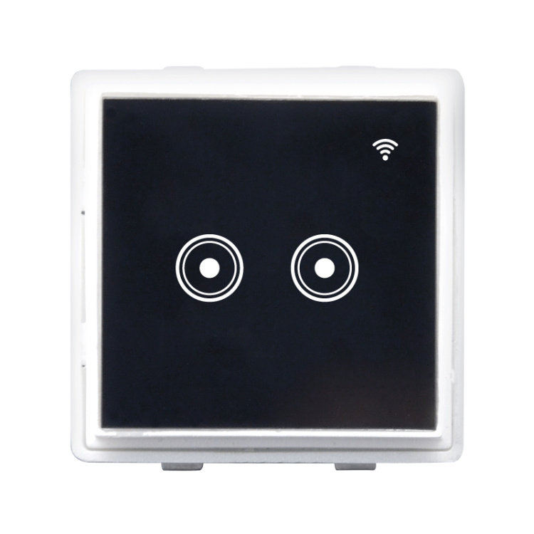 Smart 2 Gang Touch Switch Module