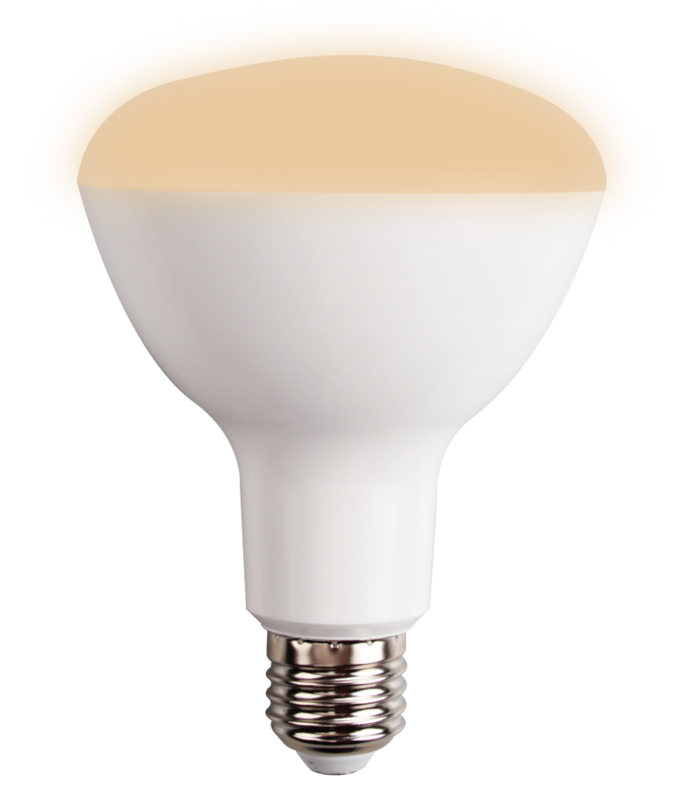 WiFi BR30 Dimmable Bulb