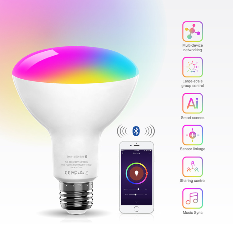 Hysiry BLE Mesh BR30 Dimmable Smart LED Light Bulb