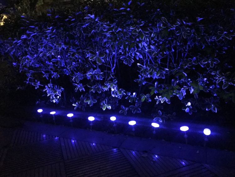 Smart Outdoor Mini Garden Spotlights
