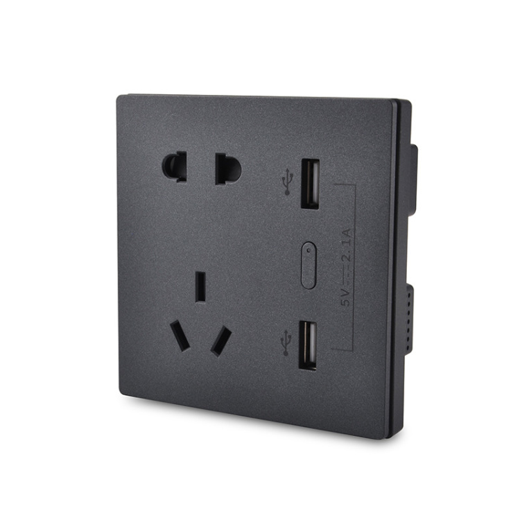 250V 10A Smart Zigbee Wall Socket With USB Charging Ports Wall Sockets | Tuya Expo