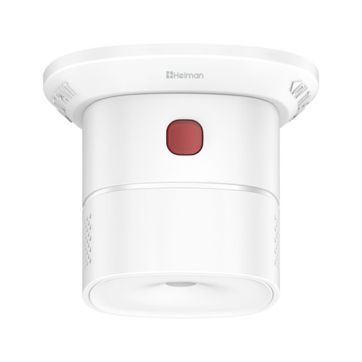 HS1CA-TY CO Detector