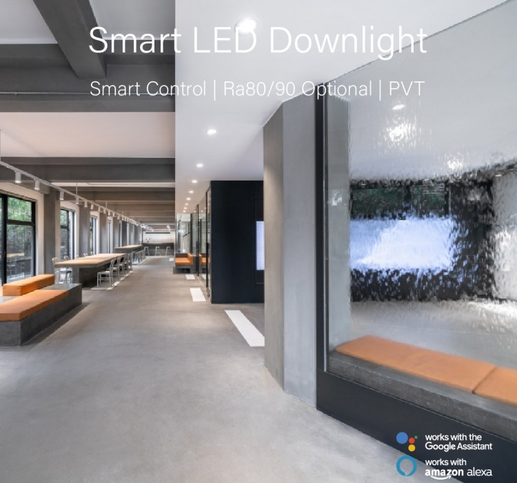 Smart LED Downlight