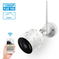 Wi-Fi Security Half-Outdoor Camera-C500