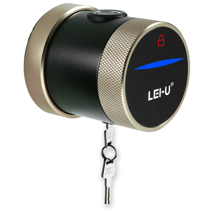 LEIU Smart Door Lock with Apartment Management System
