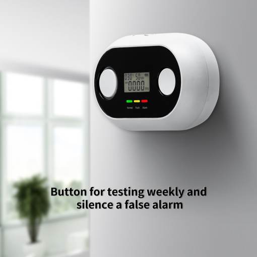 10 Years Wi-Fi Smart Carbon Monoxide Detector-CO1 Detector