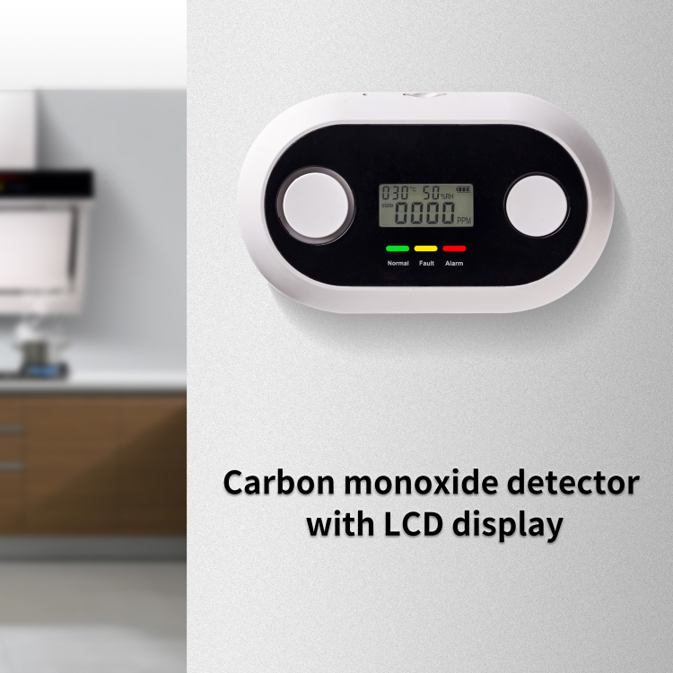10 Years Wi-Fi Smart Carbon Monoxide Detector-CO1 Detector