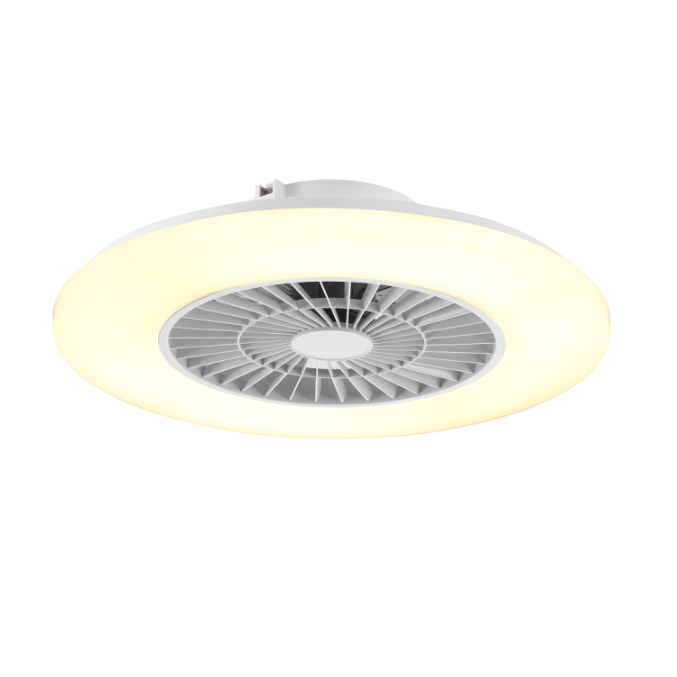 Ceiling Fan Light with Starlight Cover