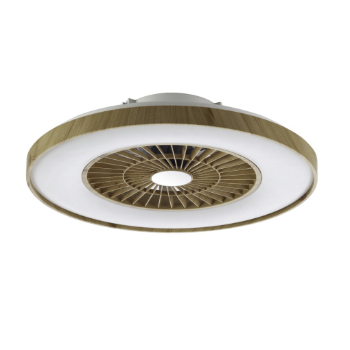 Ceiling Fan Light