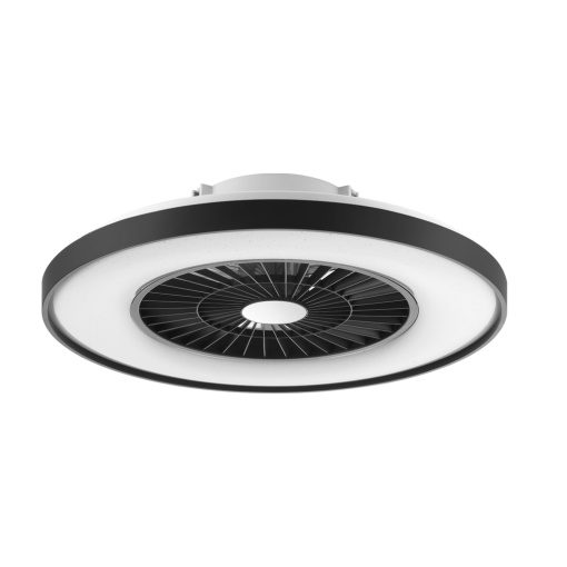 Ceiling Fan Light With Black Painting Frame