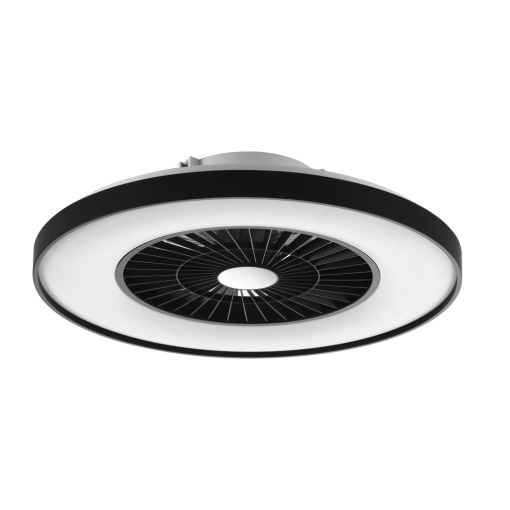 Ceiling Fan Light with Black Painting Frame