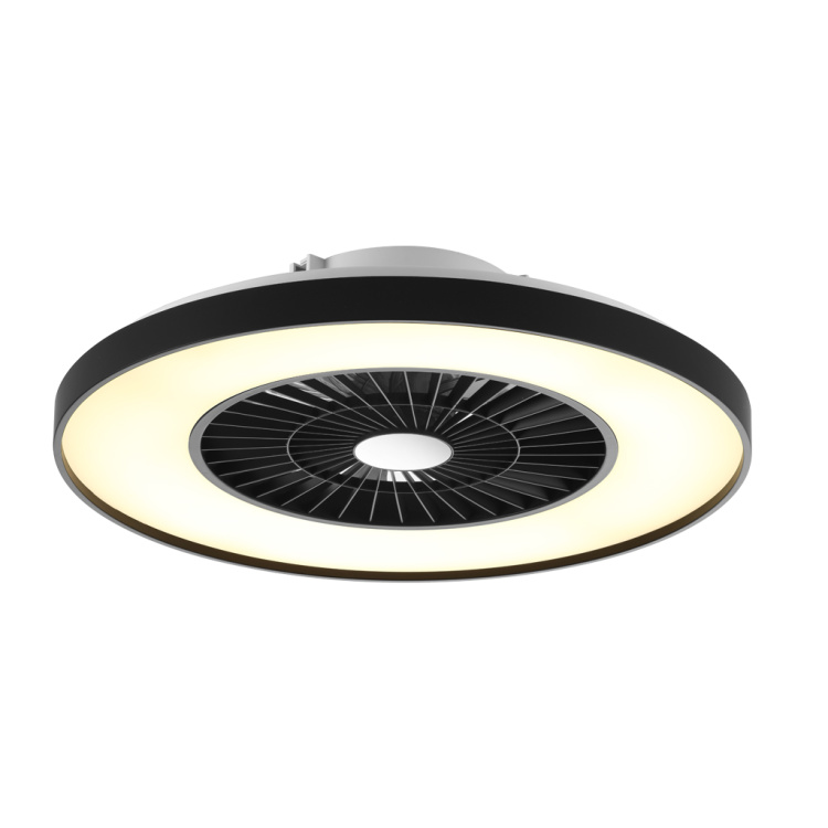 Ceiling Fan Light with Black Painting Frame
