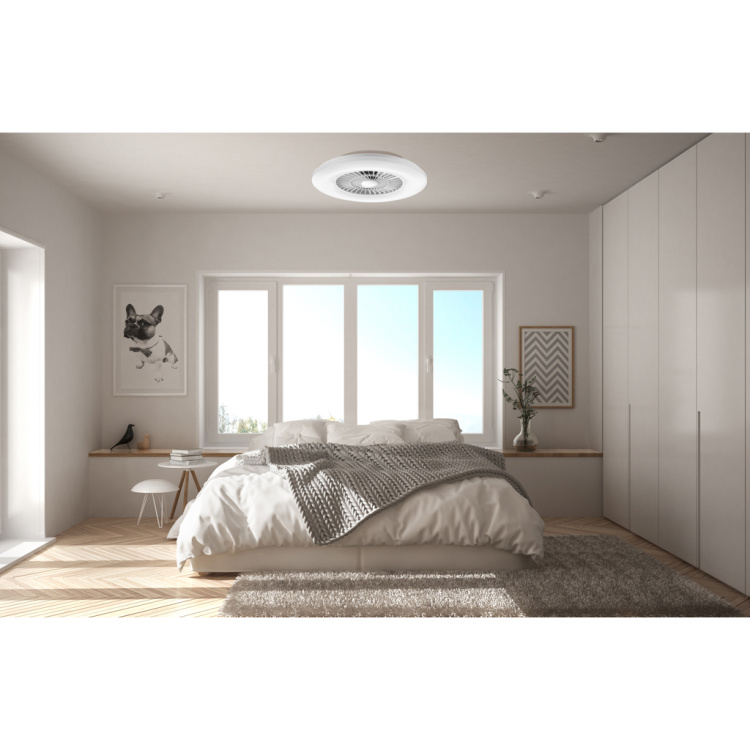 Ceiling Fan Light with Opal White Cover