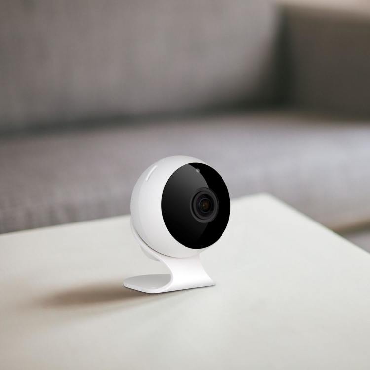 1080P 180-Wide Angle Indoor Wifi camera