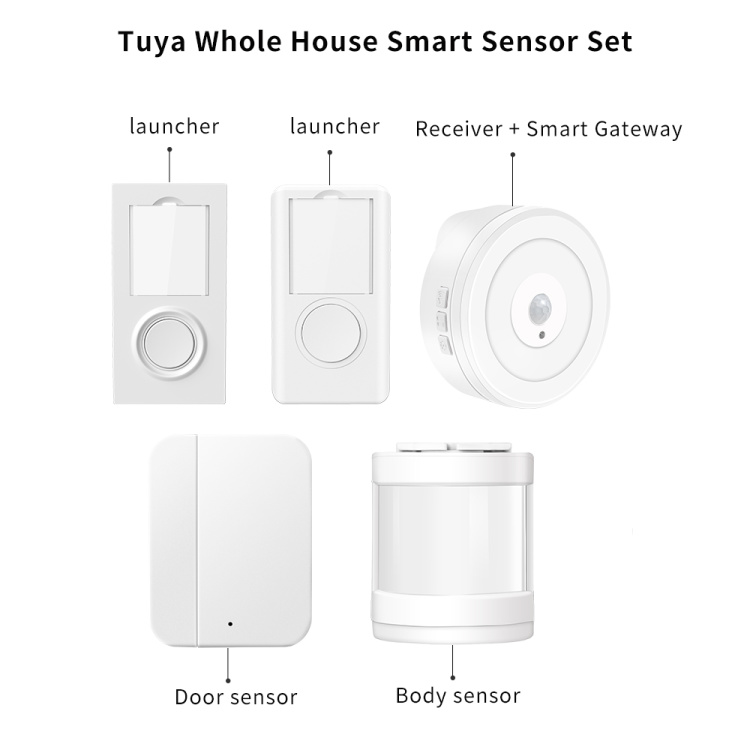 Tuya Whole House Smart Sensor Set