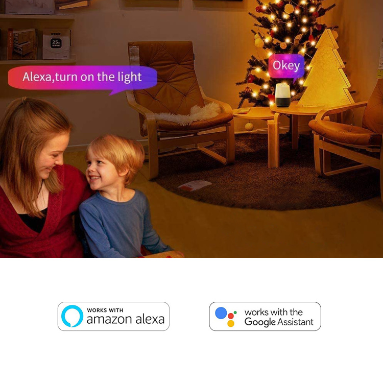Smart Wi-Fi Fairy Light