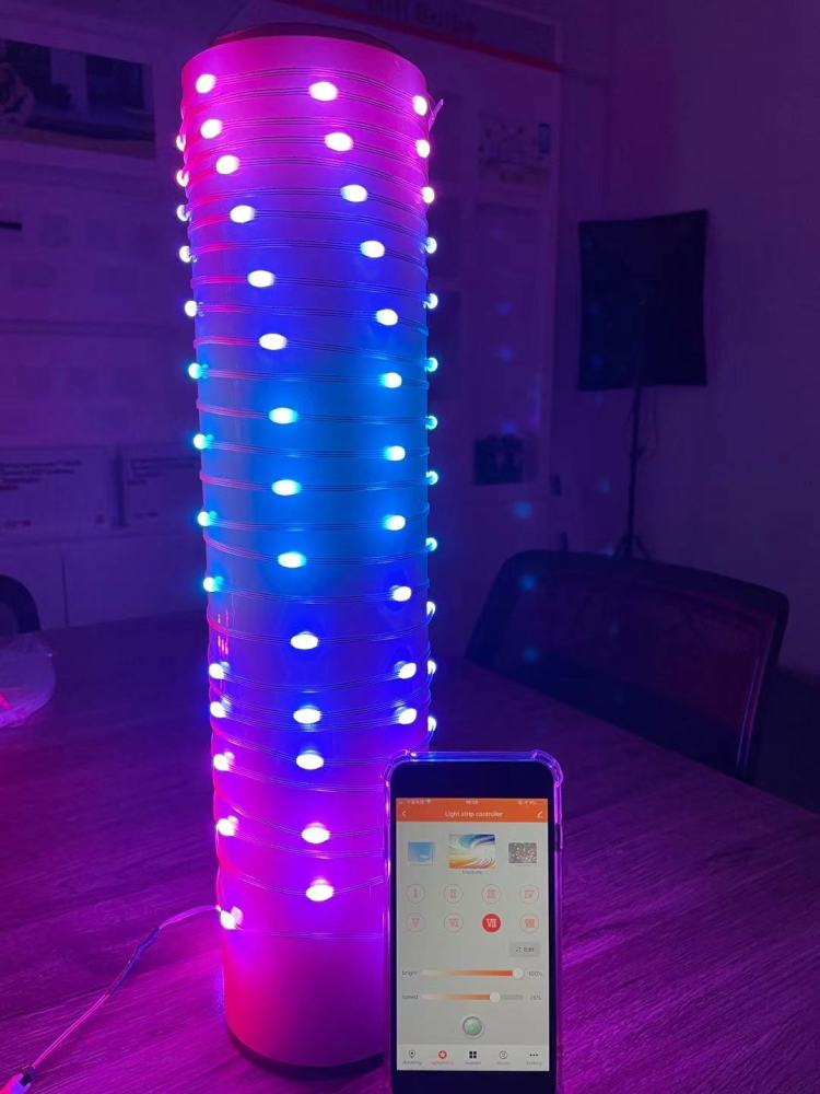 Smart Rgbic Led Fairy String Lights Work with Alexa Google Home Custom Lighting Display Music Sync Hanging Twinkle Light