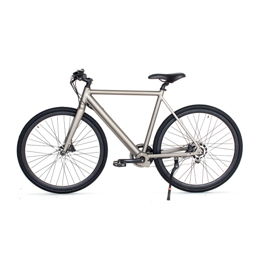 Electric Bicycle