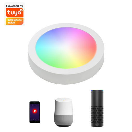 6W 3.5" Surface Mounted Smart LED Panel Light