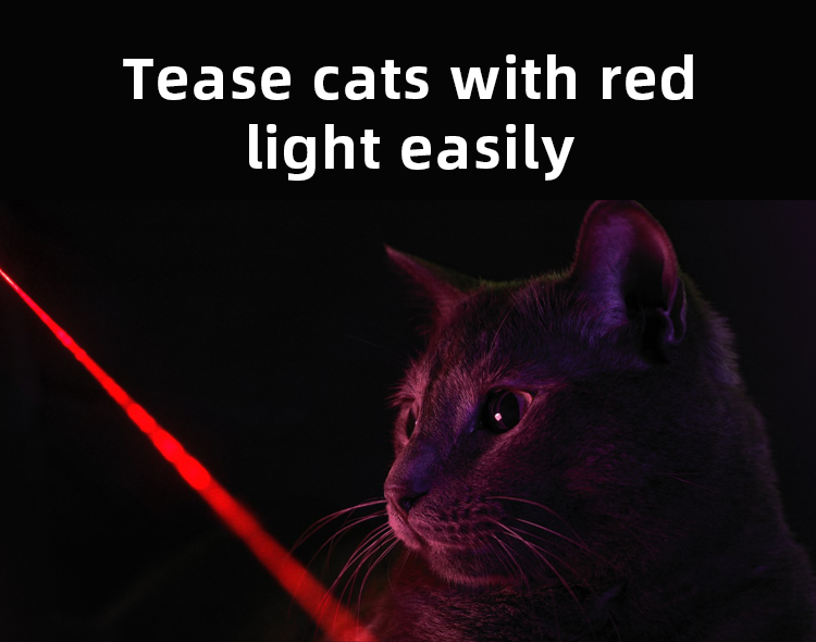 Petoneer Bluetooth Laser Cat Toy Pet Teaser TuyaExpo