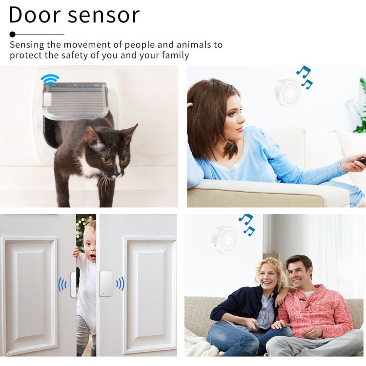 Smart Wi-Fi Door Window Sensor Alarm Kit