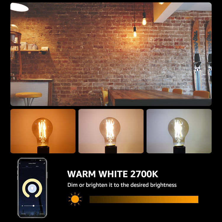 Amber Glass Body LED Light Bulb Alexa Voice Control, 5.5W A60 Smart Wi-Fi LED Filament Bulb