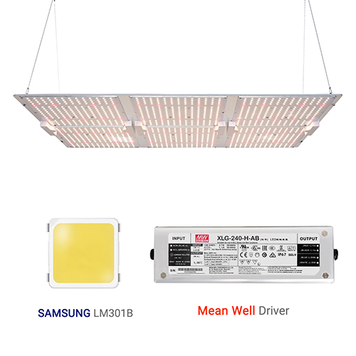 sf6000 grow light