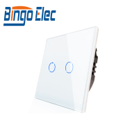 Bingoelec EU UK Standard Home Voice Control Wall Switches 2 Gang Light Touch Switch Alexa Tuya Smart Switch WiFi Socket