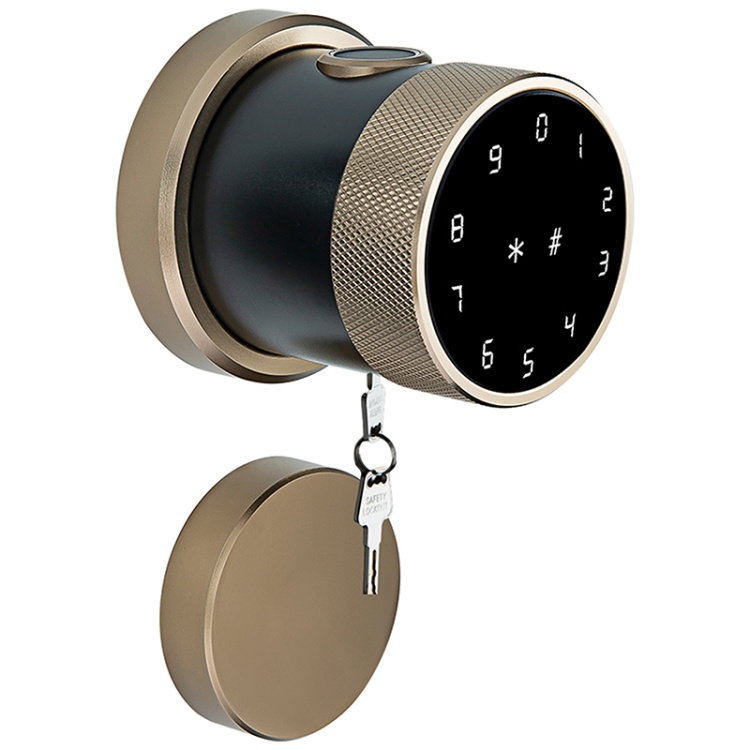 LEIU Fingerprint Smart Lock for Home