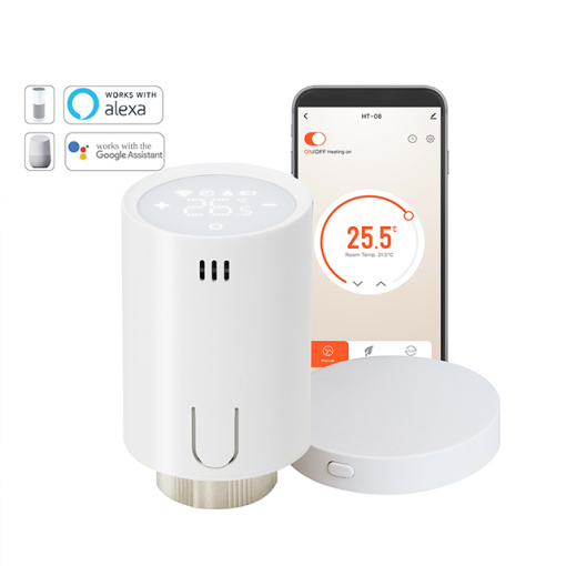 Tuya Thermostatic Socket Smart WiFi and bluetooth - Plug and Play