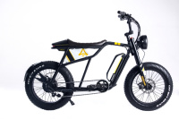 Aspadz Electric Bike